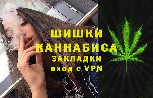 ПСИЛОЦИБИНОВЫЕ ГРИБЫ Арсеньев