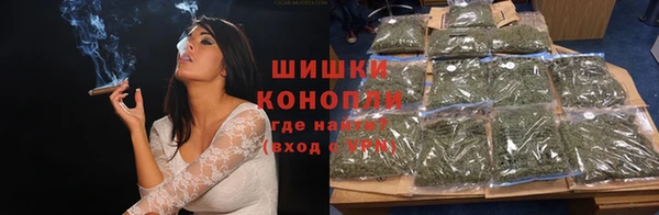 хмурый Аркадак