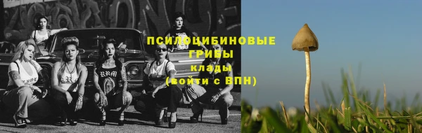 ПСИЛОЦИБИНОВЫЕ ГРИБЫ Арсеньев