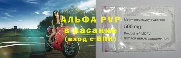 хмурый Аркадак