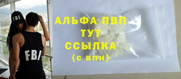 хмурый Аркадак