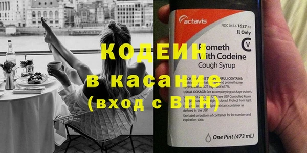 хмурый Аркадак