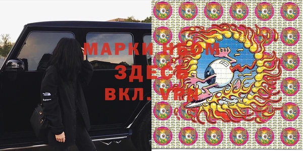 ПСИЛОЦИБИНОВЫЕ ГРИБЫ Арсеньев