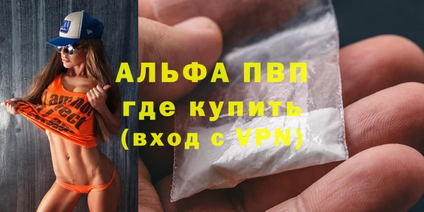 хмурый Аркадак