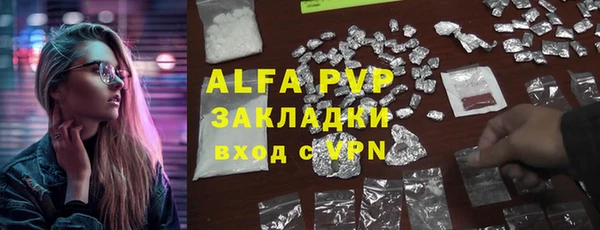 хмурый Аркадак