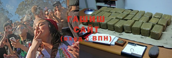 хмурый Аркадак