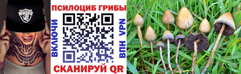 наркошоп Сатка Галлюциногенные грибы GOLDEN TEACHER